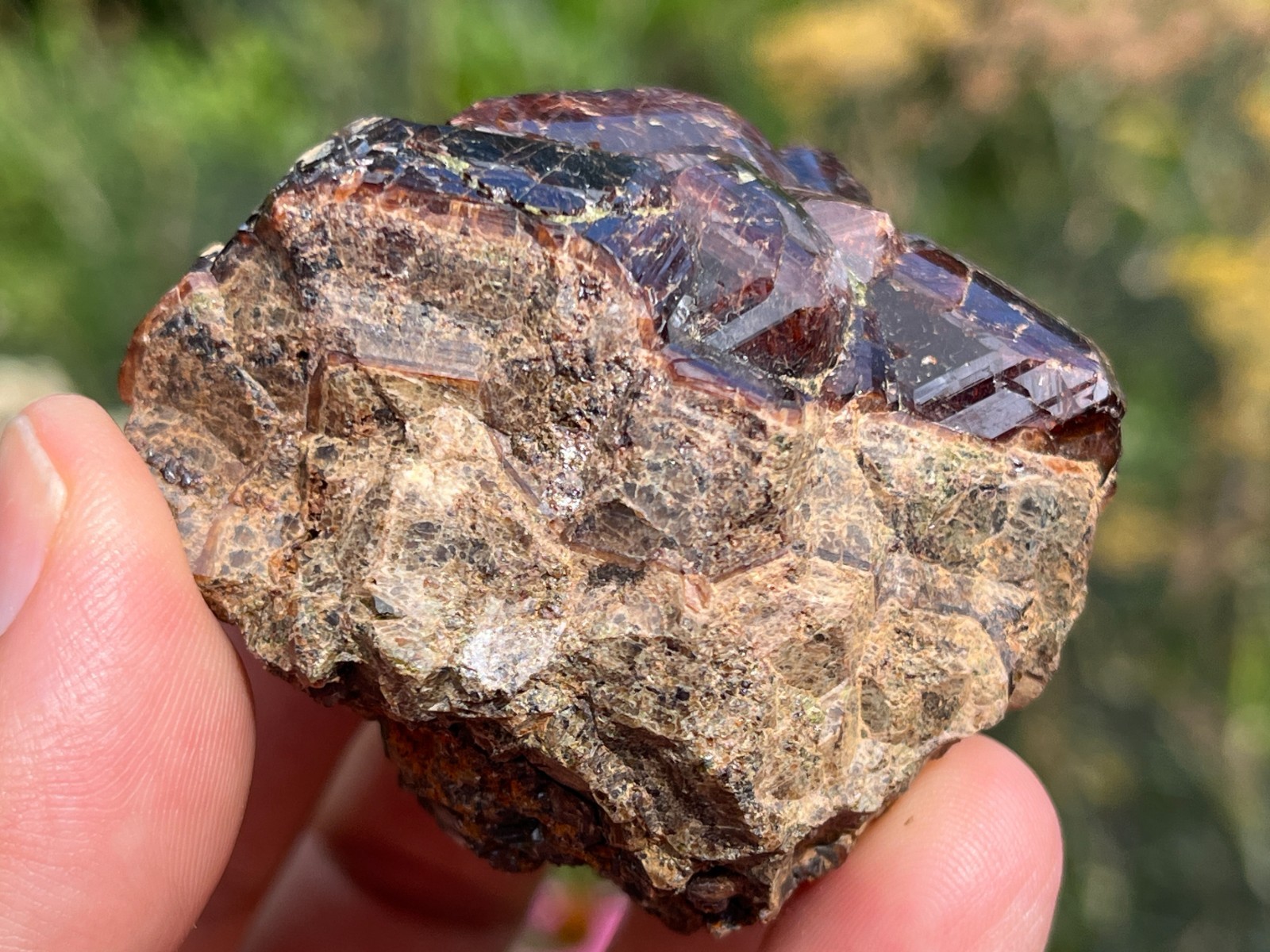 Garnet var. Andradite – Garnet Hill, Calaveras Co., California