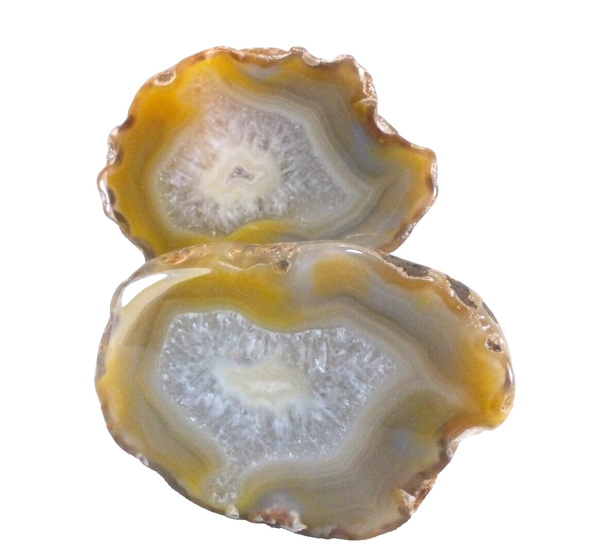 Agate Nodule, polished halves Pair Agate Creek Queensland Australia (EA9586)