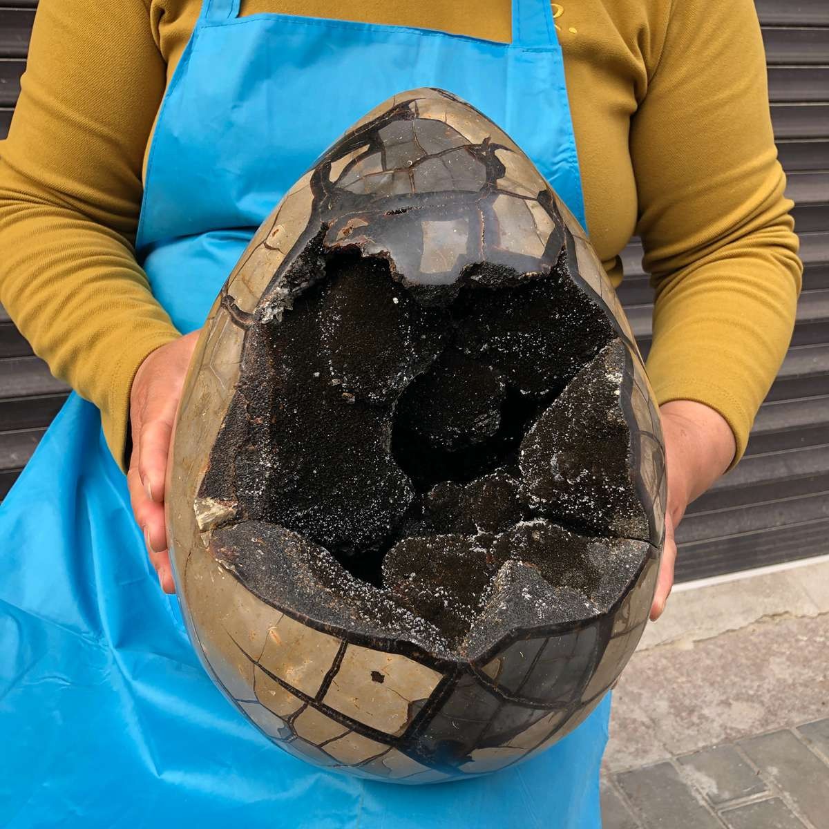 16.89KG Natural Turtle Back Stone Dragon Crystal Cave Crack Gem Healing 4358