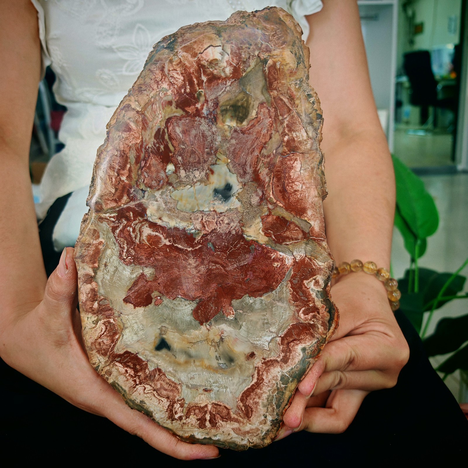 3.19LB Natural Jurassic and Cretaceous wood fossil crystal slice specimen 1.45kg