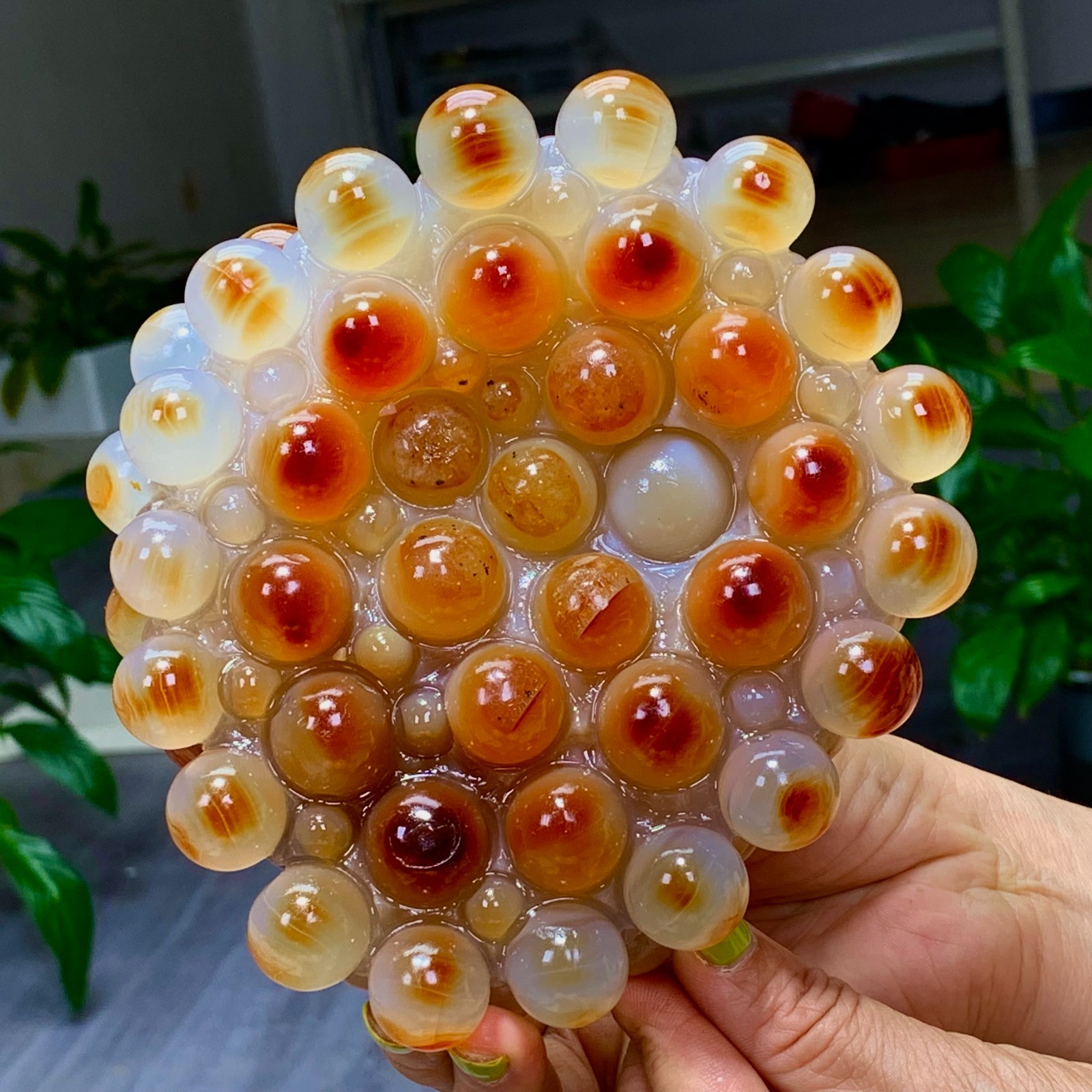 2.508LB Natural Gobi Agate Eye Agate grape shape Crystal Madagascar mineral