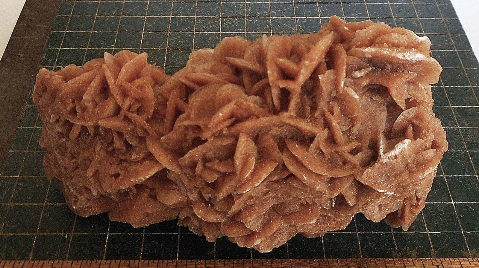 Desert Rose Selenite. Natural. Gypsum. Morocco 6.0″ (15.2cm). 1.33 Lb