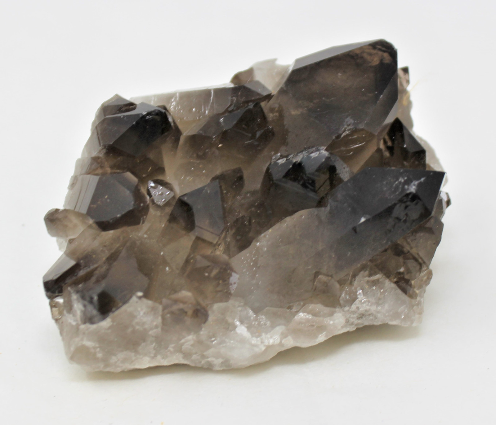 Smoky Quartz Crystal Cluster (3 – 4 oz) Natural Quartz Druze Geode Specimen