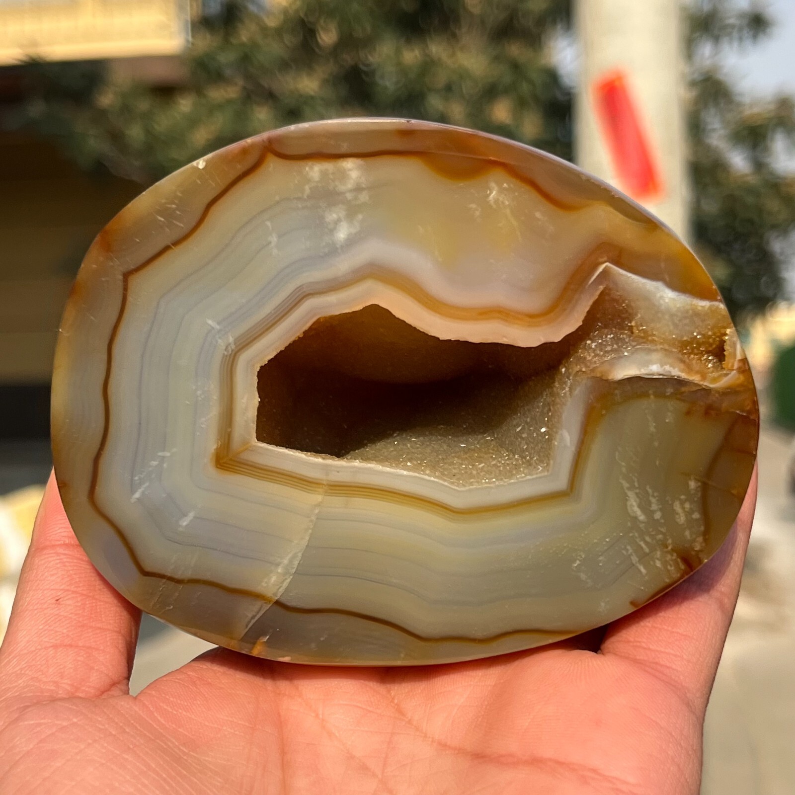 731g Rare Natural Carnelian Geode Agate Quartz Crystal Mineral Healing