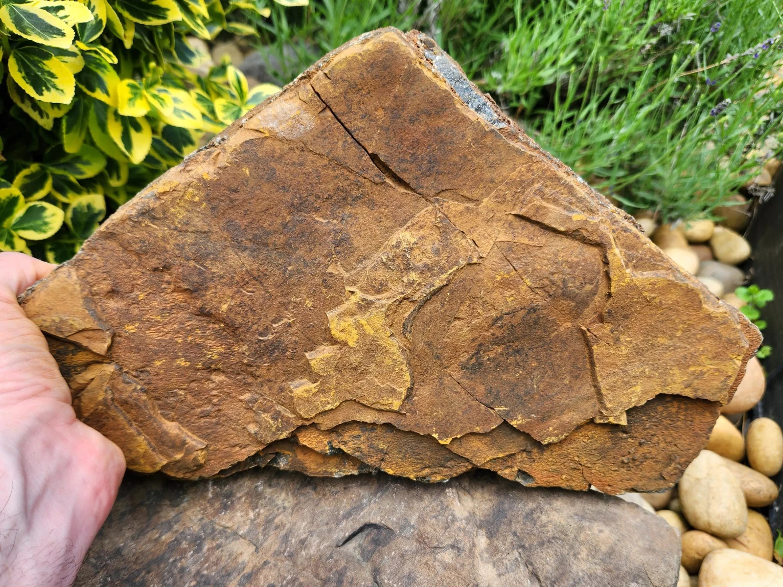 XL 11-pound Rough Blue Tiger’s Eye Stone. Ideal for Lapidary. Luminescent. 4561g