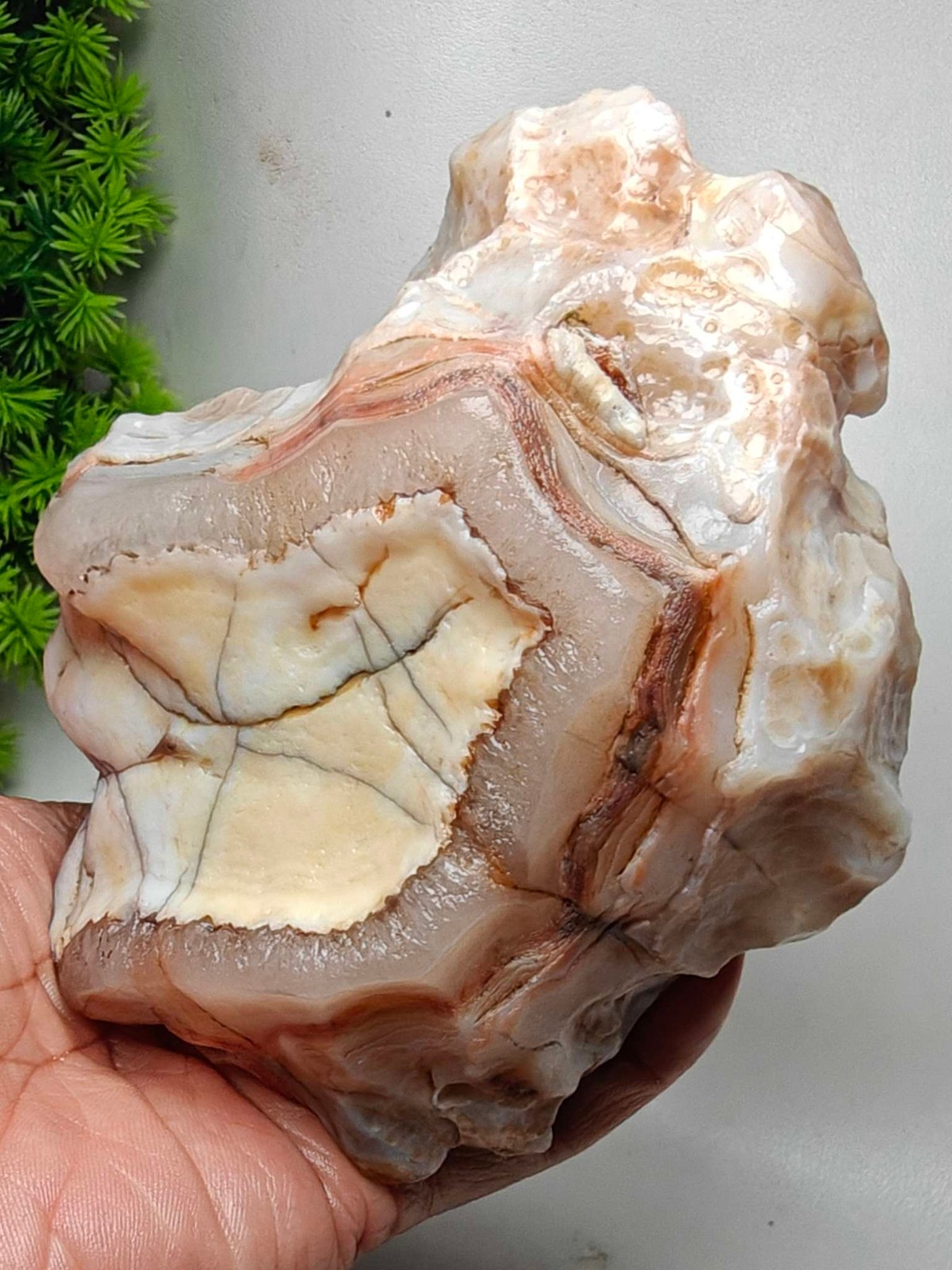 Rare China Inner Mongolia Gobi Eye Agate Stone Specimen Natural Designer 686G