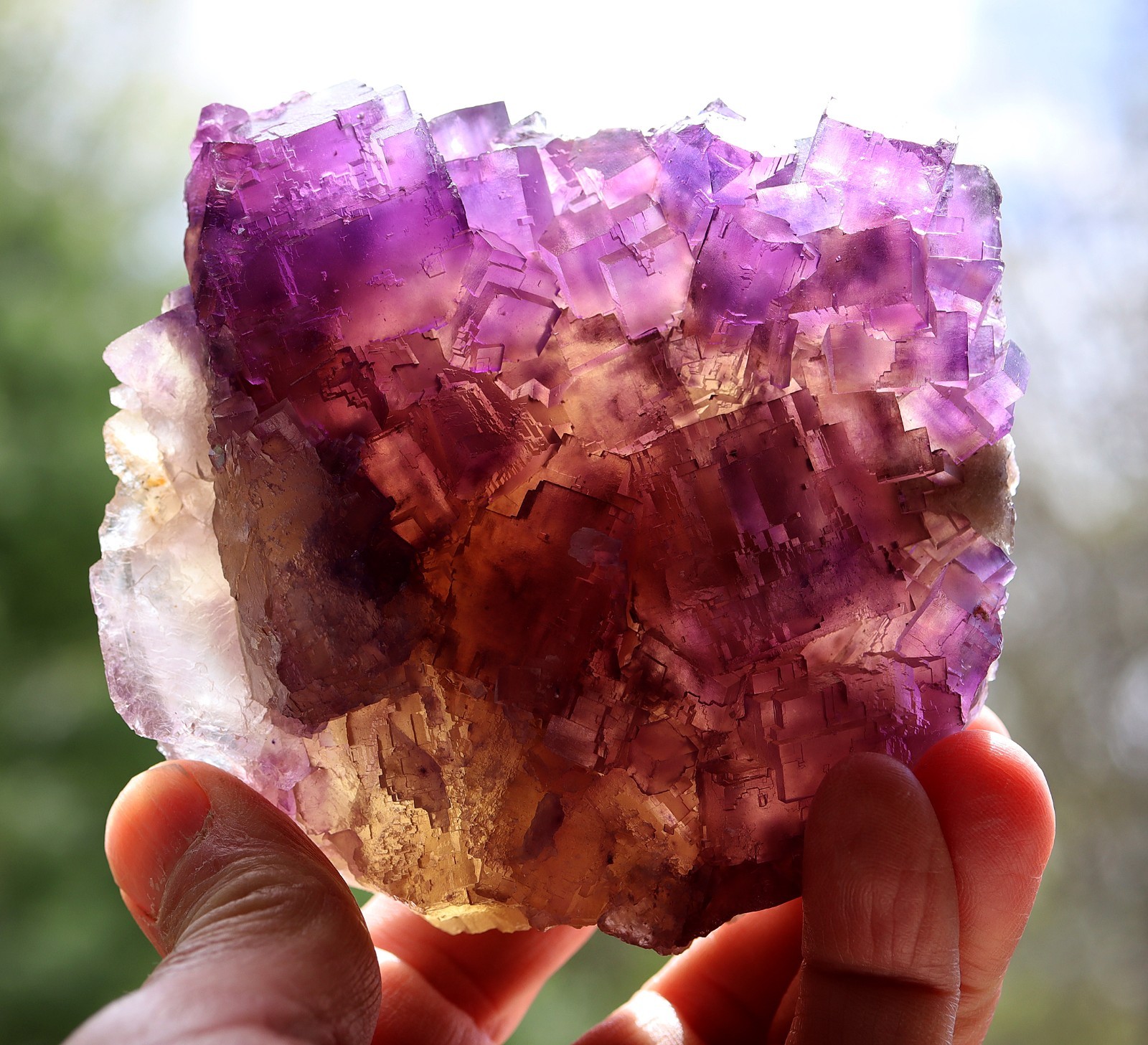 Excellent Fluorite. Cave in Rock, Illinois USA 4.25 inch across