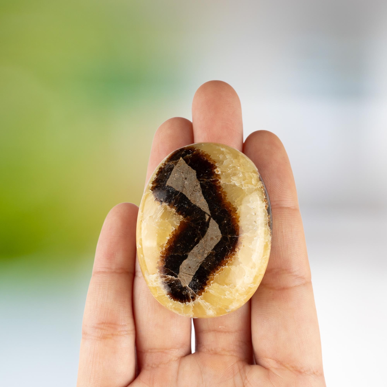 Septarian Palm Stone Crystal – Natural Healing Stone for Anxiety Relief & Medita