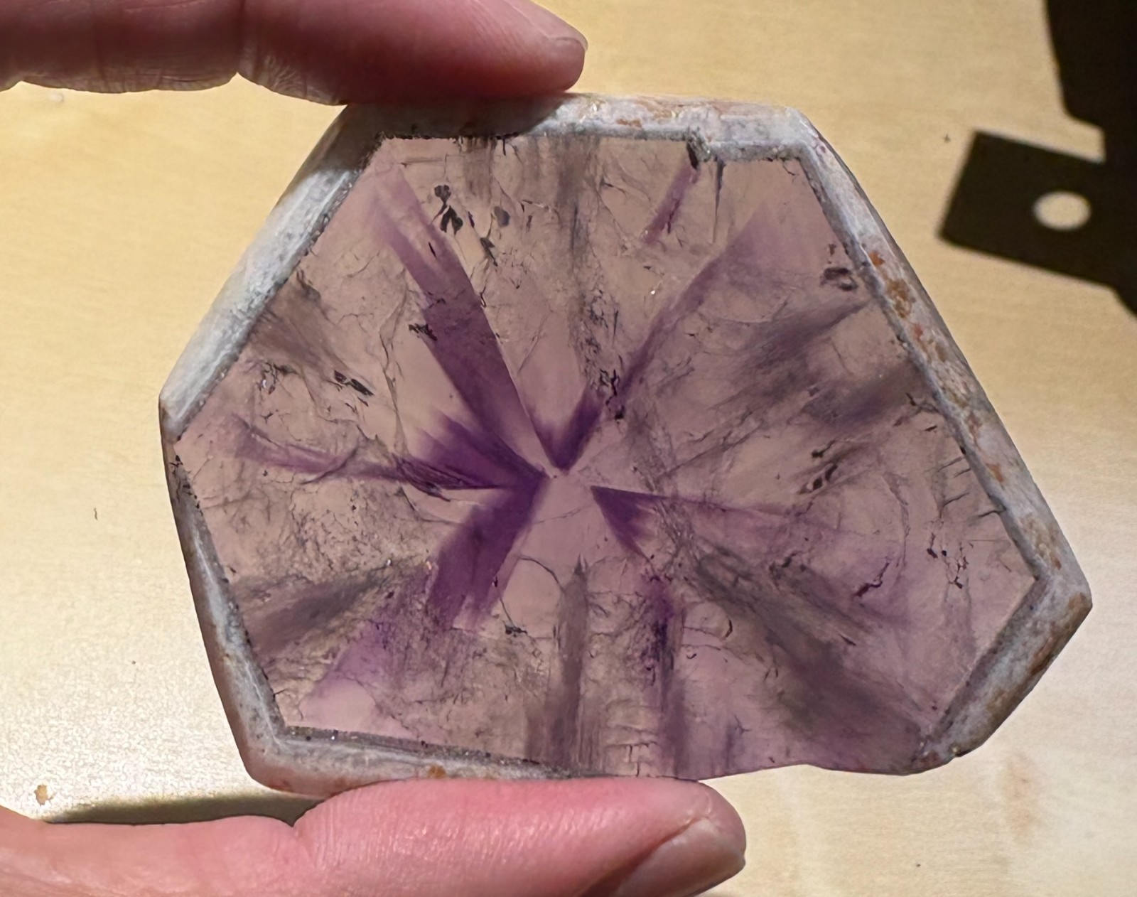 257 carat Trapiche Amethyst polished slice – Brazil