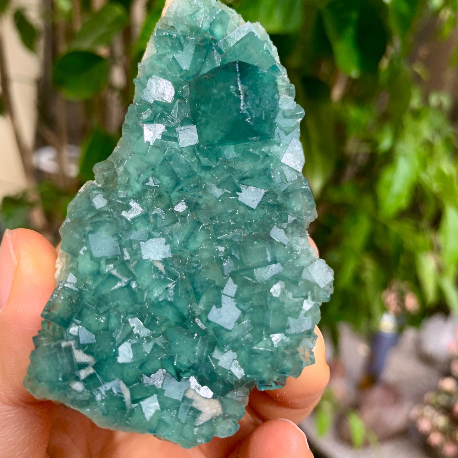 133g NATURAL Green Cube FLUORITE Quartz Crystal Cluster Mineral Specimen