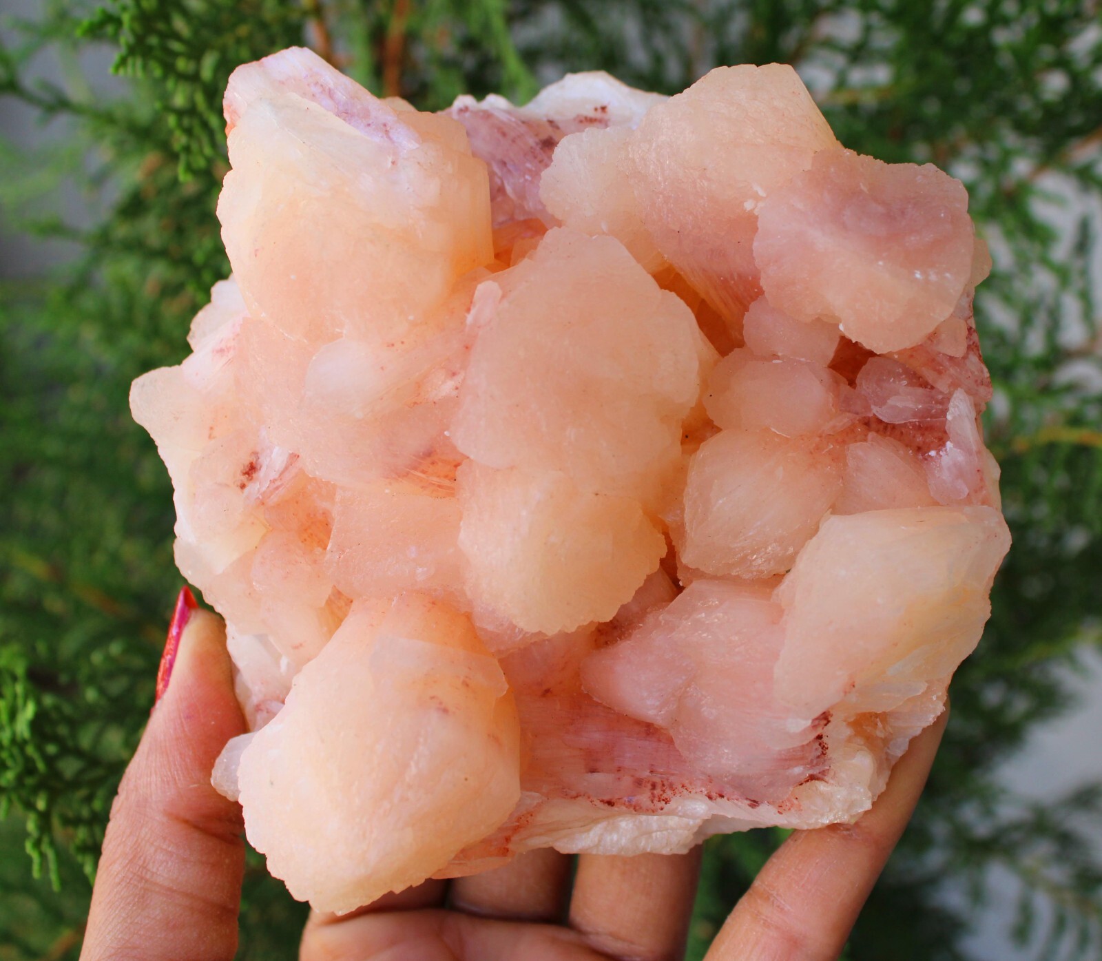 Stilbite Format On Matrix Minerals Specimen #M55