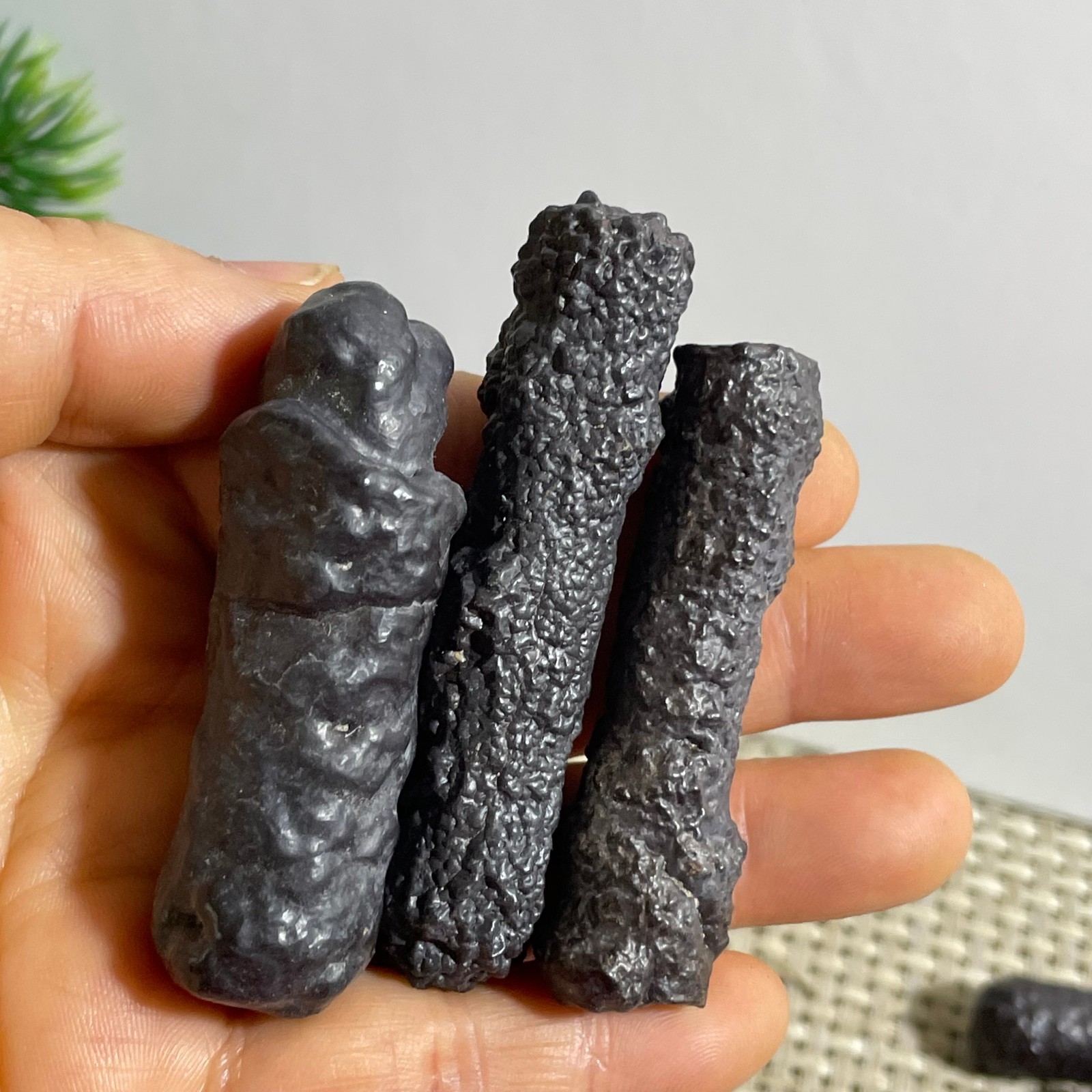 106g Limonite & Hematite pseudomorph after Marcasite Prophecy Rock Stone 3pcs