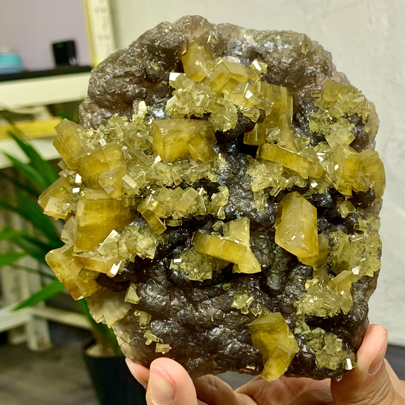 2.76LB Shiny Golden Cuboid Barite Crystal Based on the Purple Spherical Fluorite