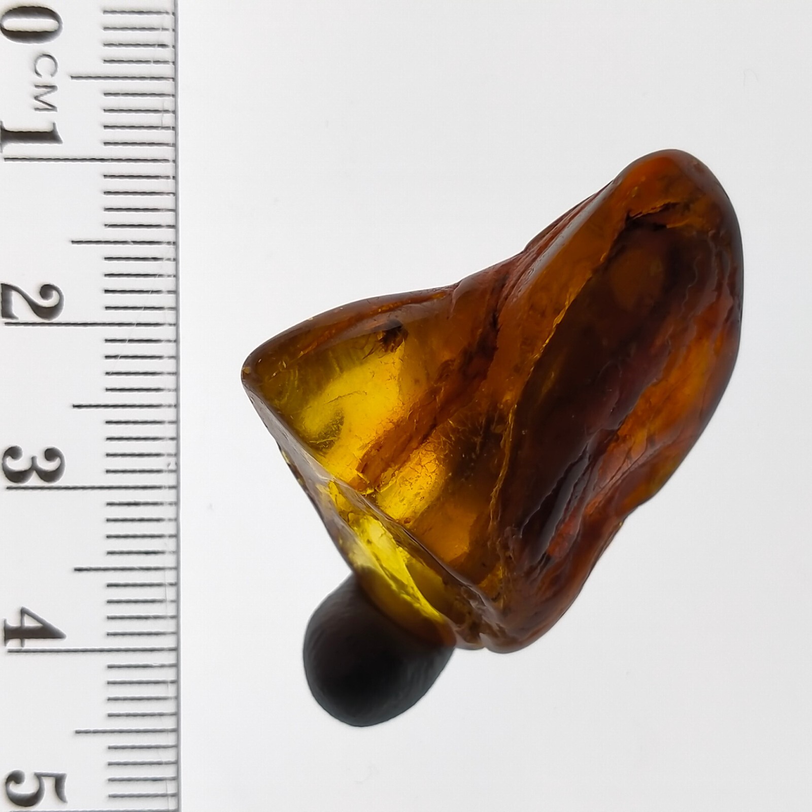 Insect fossil in Amber preserved natural bug inclusion polished gemstone 22.6ct