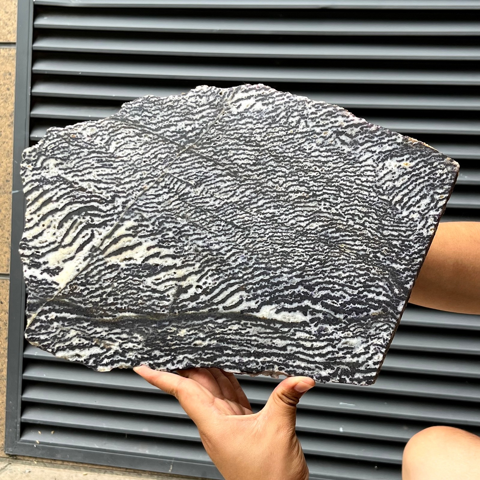 4.9 lb Natural Slice Zebra Stone Black White Stripe Crystal Mineral Specimen