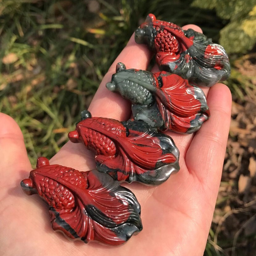 1pc Natural Bloodstone Quartz Hand Caved Fish Skull Crystal Reiki Healing