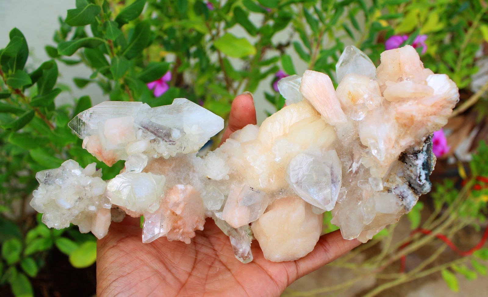 Apophyllite Crystals w/ Stilbite Stalactites Minerals Specimen ( 20X11 ) REPAIR