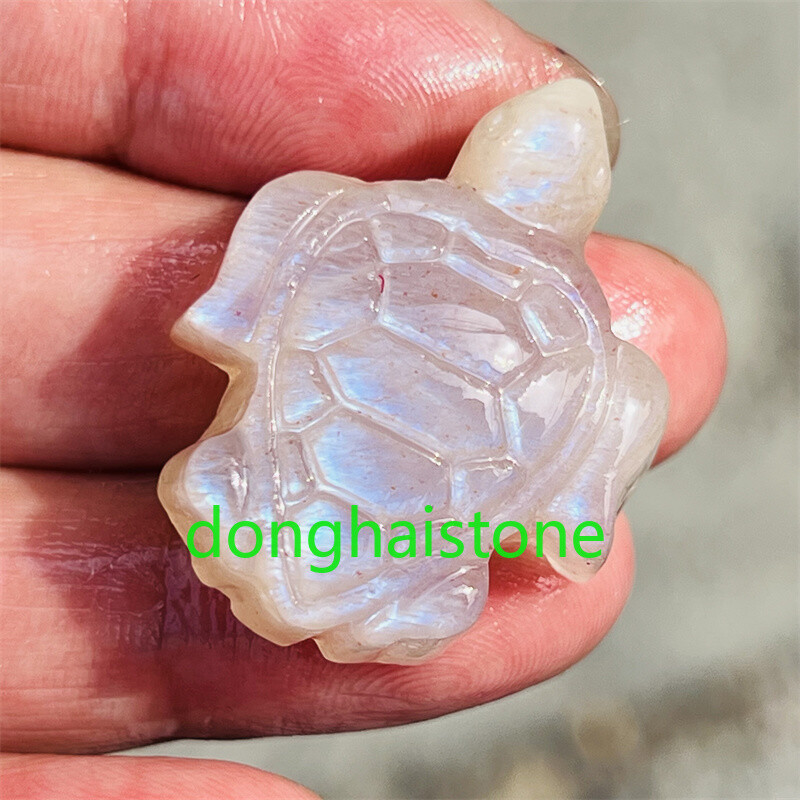 TOP Natural Moonstone Sea turtle Skull Quartz Crystal Skull Pendant Healing 1PC