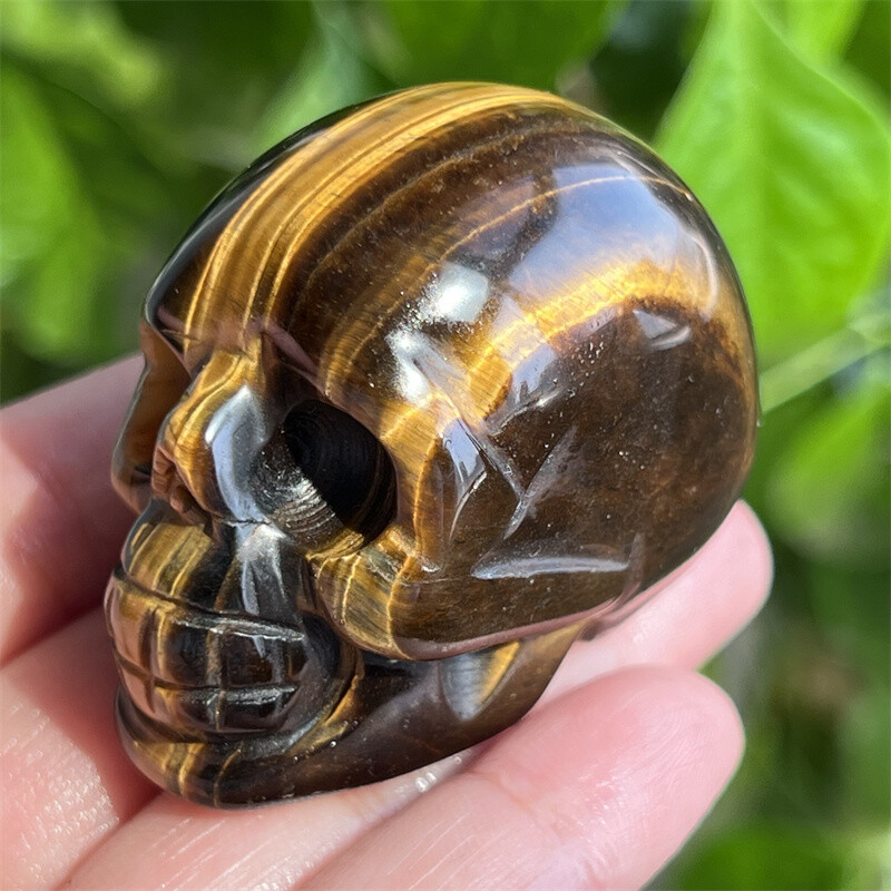 2″ Natural Tiger’s Eye Jasper skull Quartz Gem Crystal Skull Reiki Healing 1pc