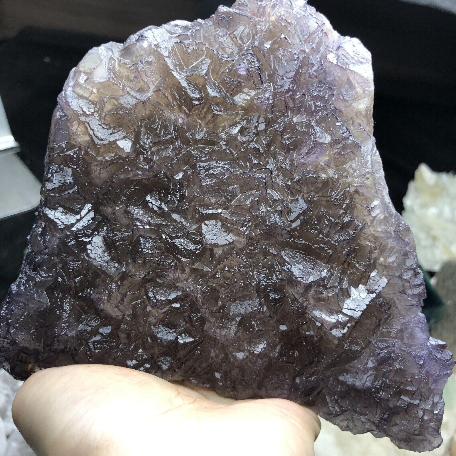 849g Translucent Deep Purple Edge Cube Ladder Fluorite Crystal Mineral