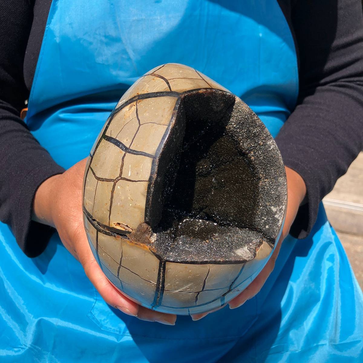 3410G Natural Turtle Back Stone Dragon Crystal Cave Crack Gem Healing 4338