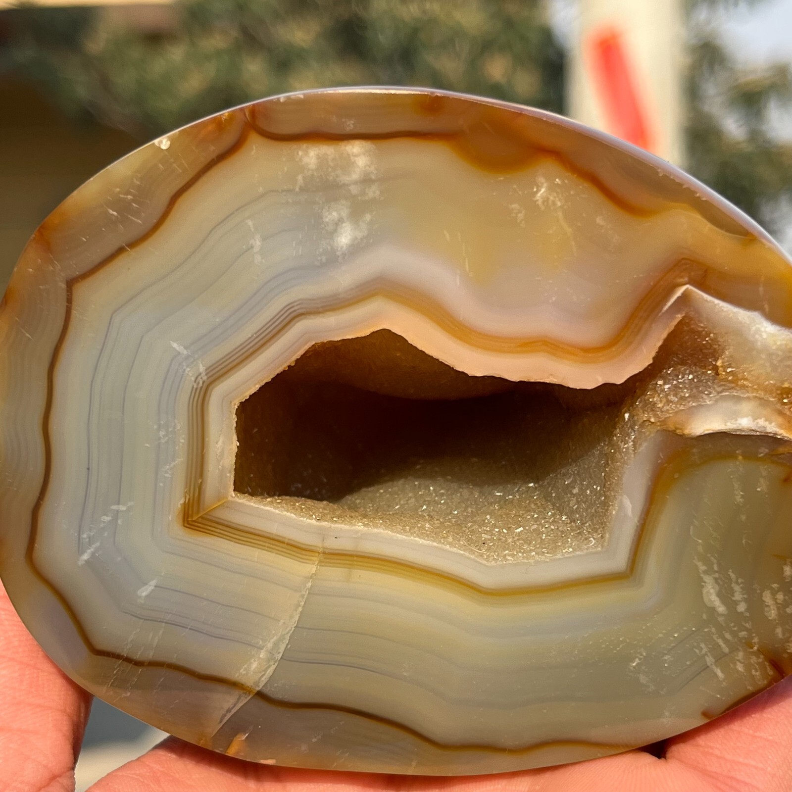 731g Rare Natural Carnelian Geode Agate Quartz Crystal Mineral Healing