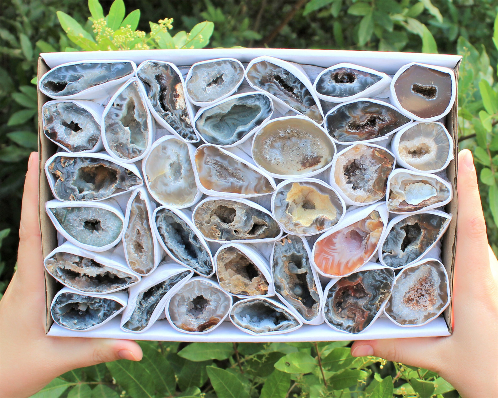 Small Oco Agate Geodes Box (30 – 54 Pieces) Bulk Natural Crystal Druzy Halves