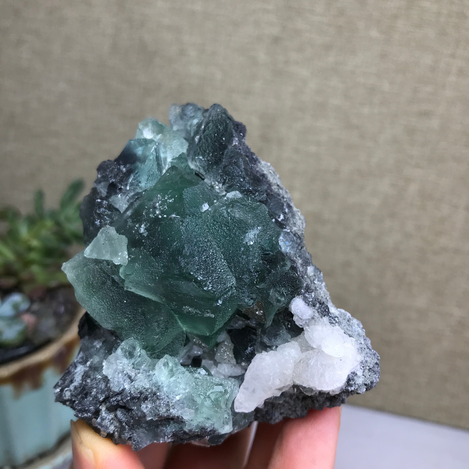 215g NATURAL Green Cubic FLUORITE paragenesis Crystal Cluster Specimen A4777