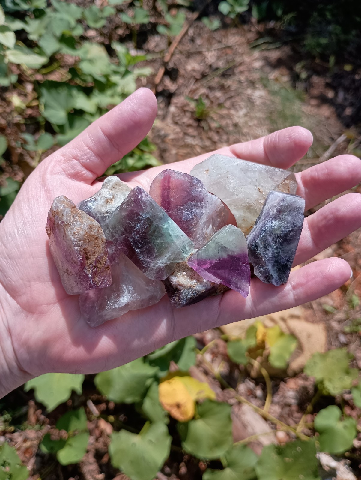 Rainbow Fluorite Roughs 1/2 Pound Lot Small Medium Size Raw Crystals