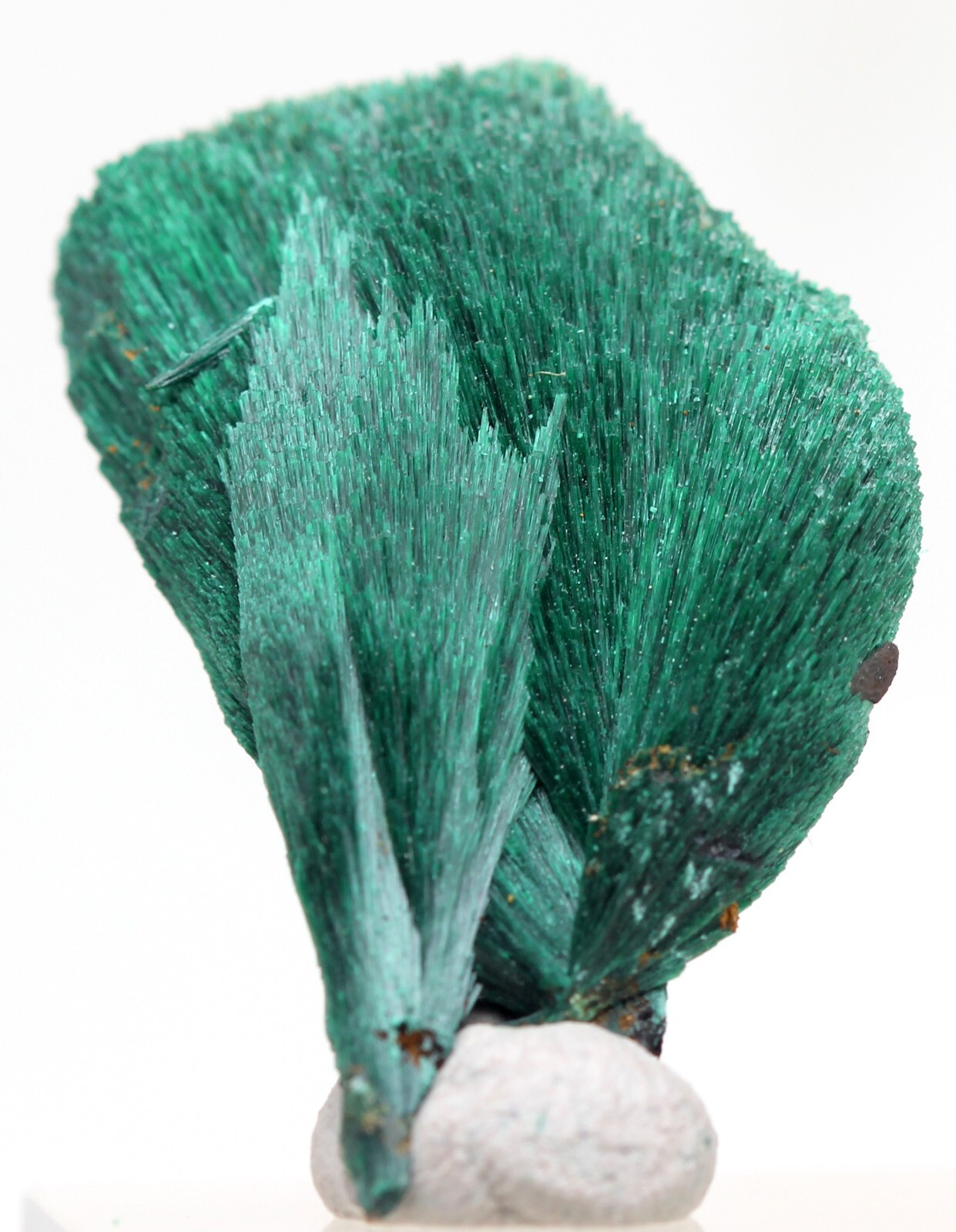 MALACHITE Crystal Mineral Specimen Fibrous Cluster Natural Raw Gem Stone MOROCCO