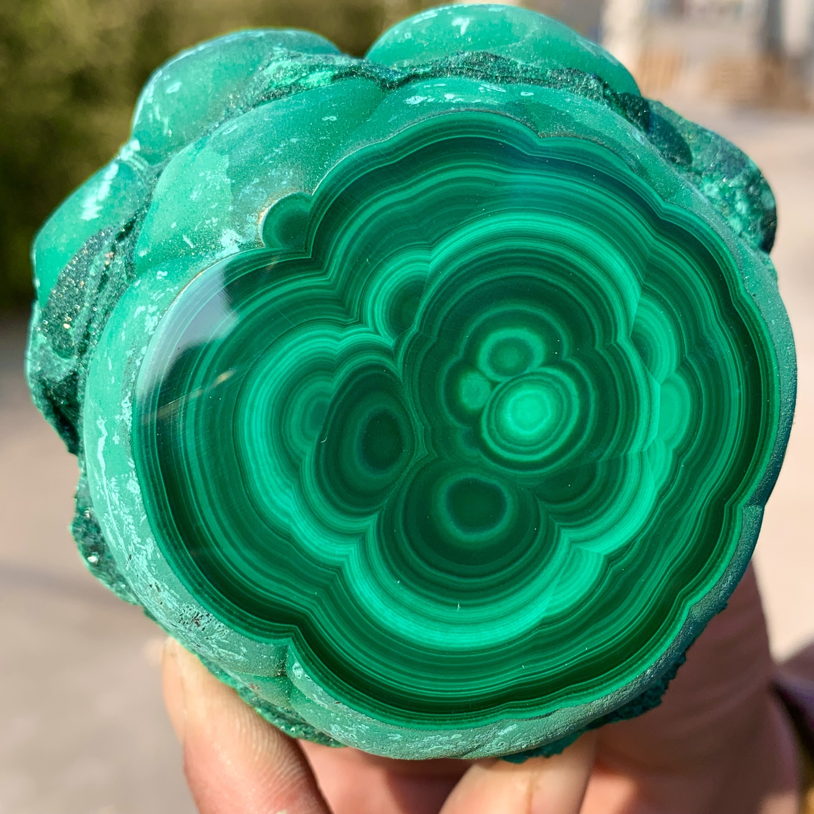 1.39LB Natural glossy Malachite transparent cluster rough mineral sample
