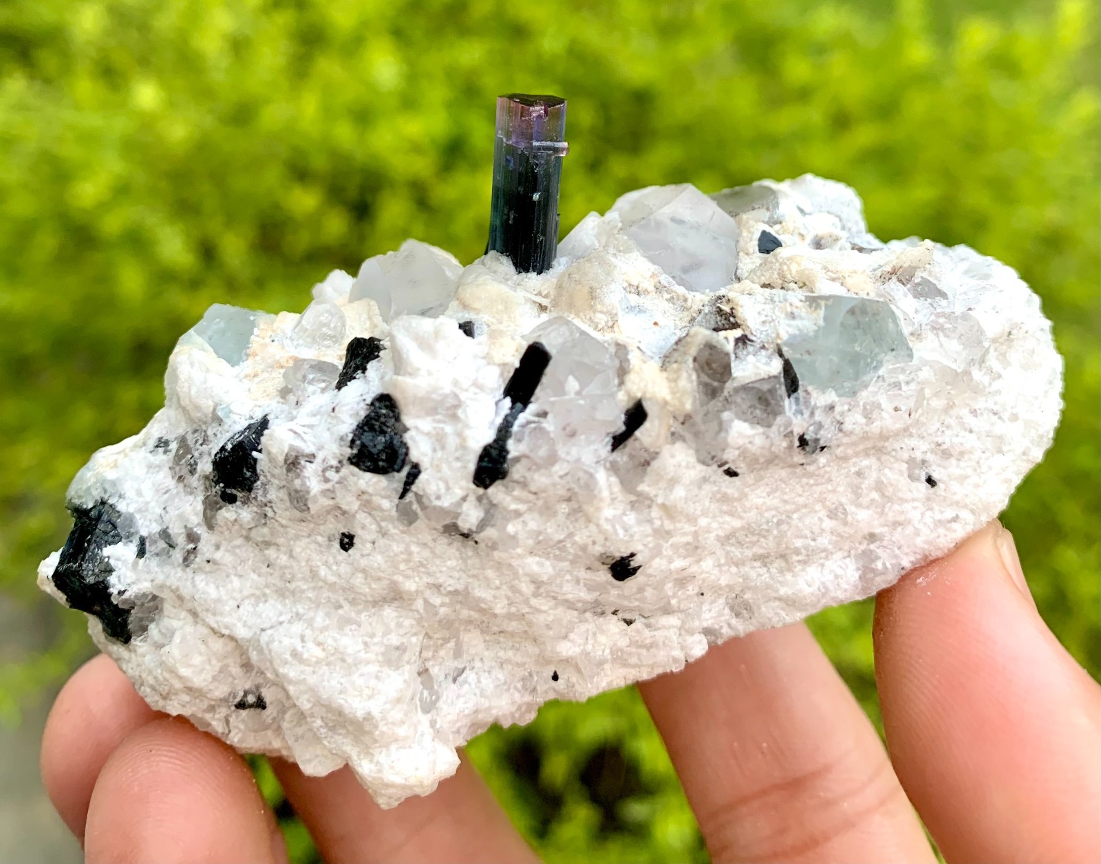 192 GM Multi Color Tourmaline With Quartz & Topaz From Chamachu Mine Shengus Rhu