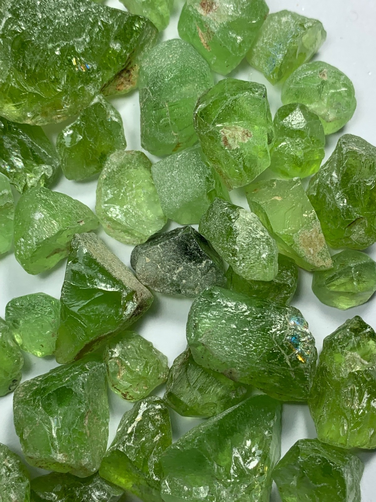 Peridot Rough Facet Grade Lot from Mansehra Supat Mine Pakistan(126.90Gram)