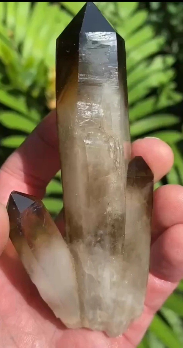 Starbrary Smoky Quartz Teacher Crystal With Wisps Of Light And Dark Pantoms