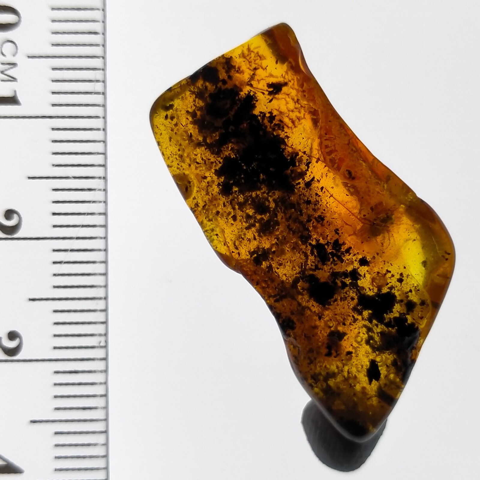 Insect in Amber natural gemstone trapped fossil inclusion Watch Video 11.2ct