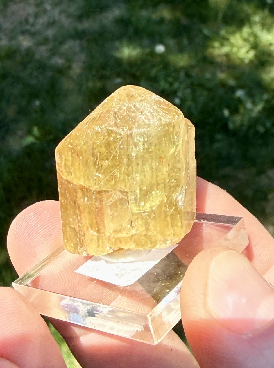 Yellow Apatite Crystal from Durango, Mexico 31.7g, 3cm, #62