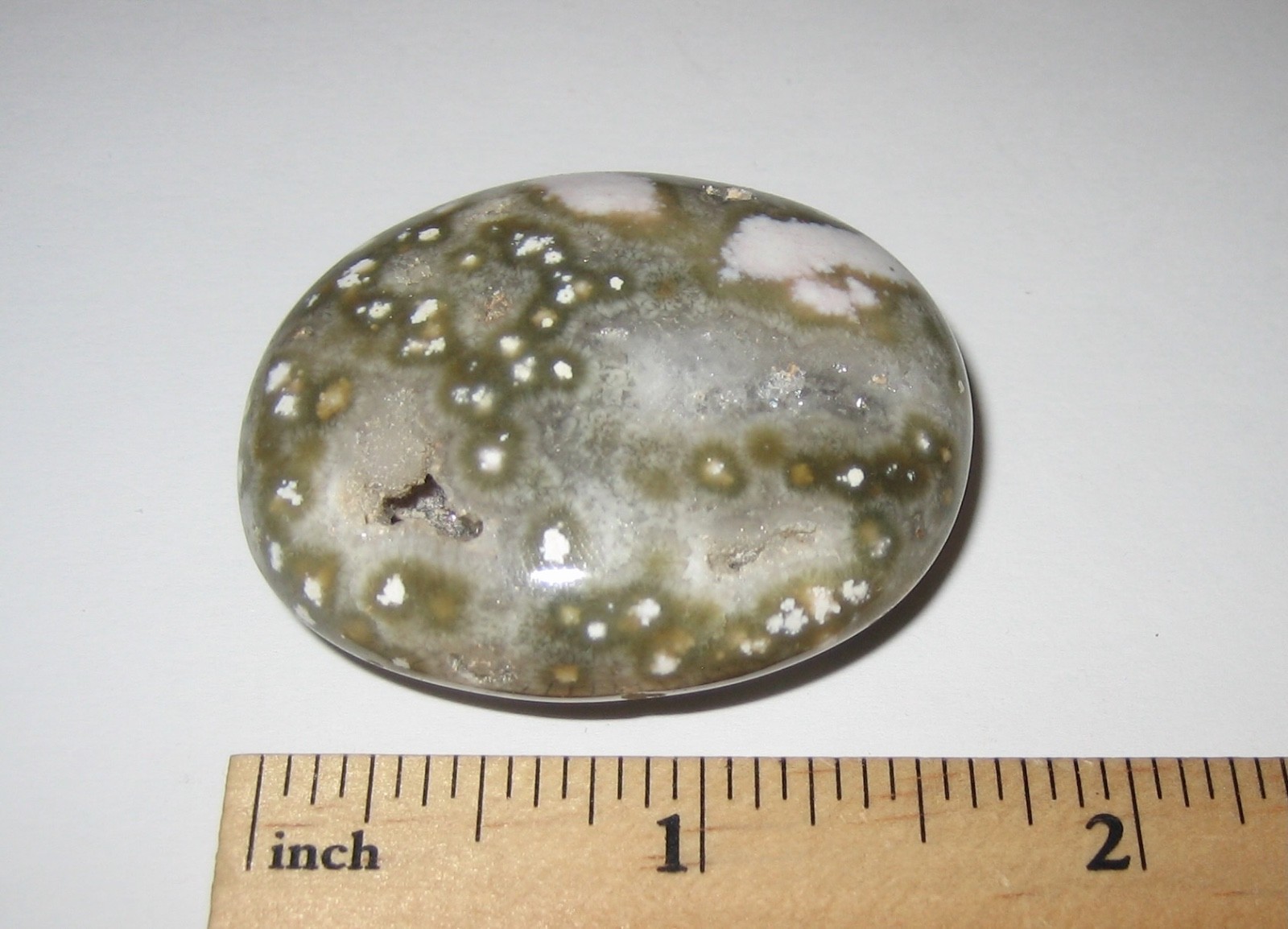 BEAUTIFUL 1.8″ POLISHED NATURAL OCEAN JASPER PALM STONE MINERAL ~ 43grams *2