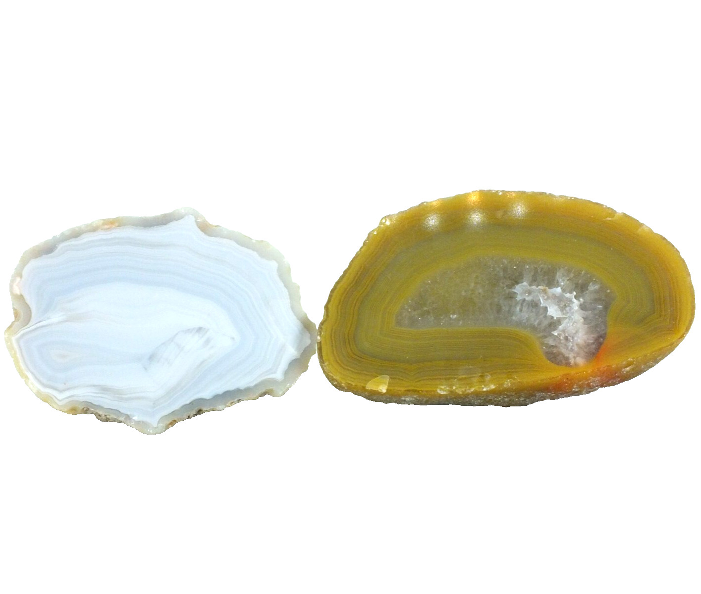 2 Agate Nodule, polished halves Agate Creek Queensland Australia, (EA10191)