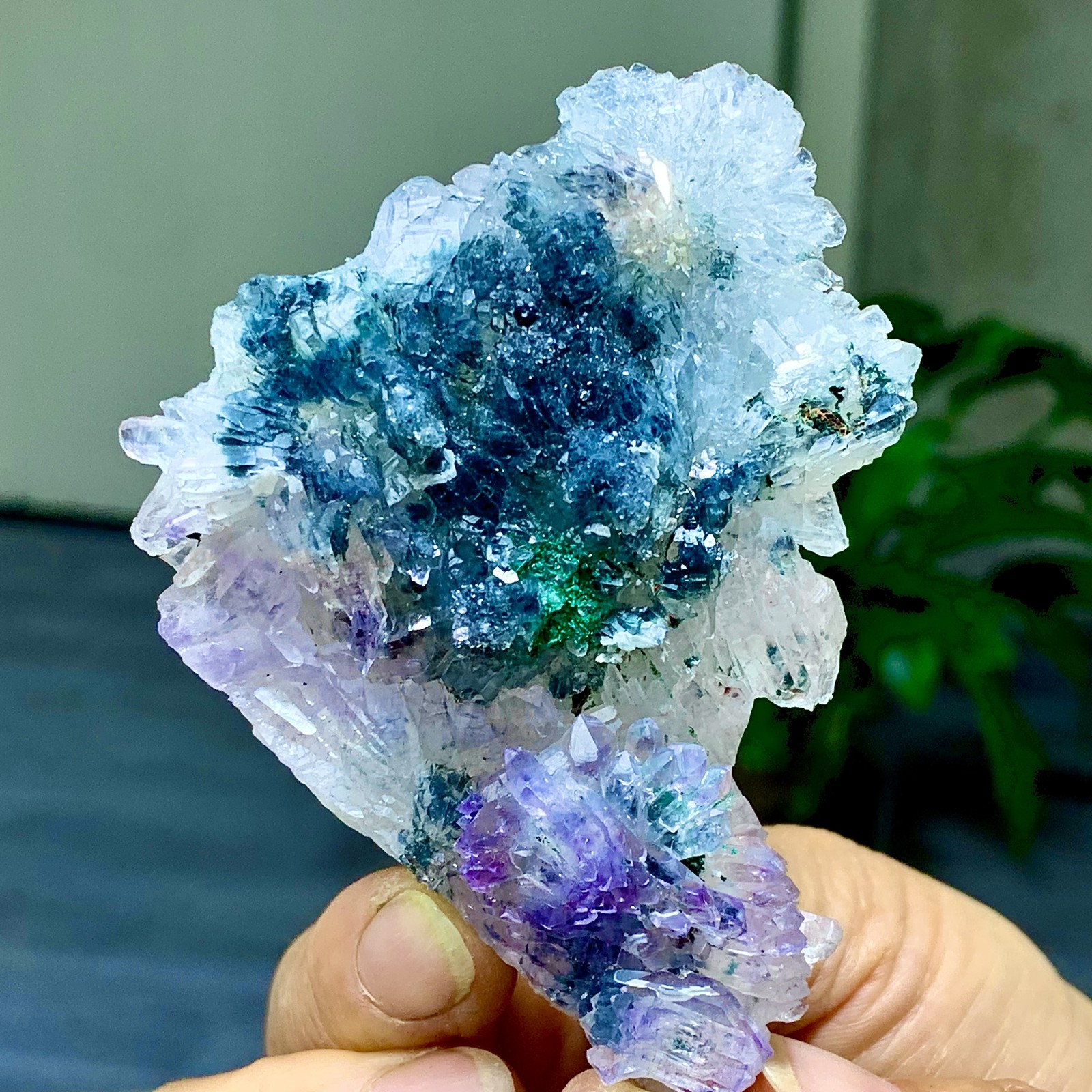 81G Natural Vision Amethyst quartz cluster crystal druzy mineral specimen