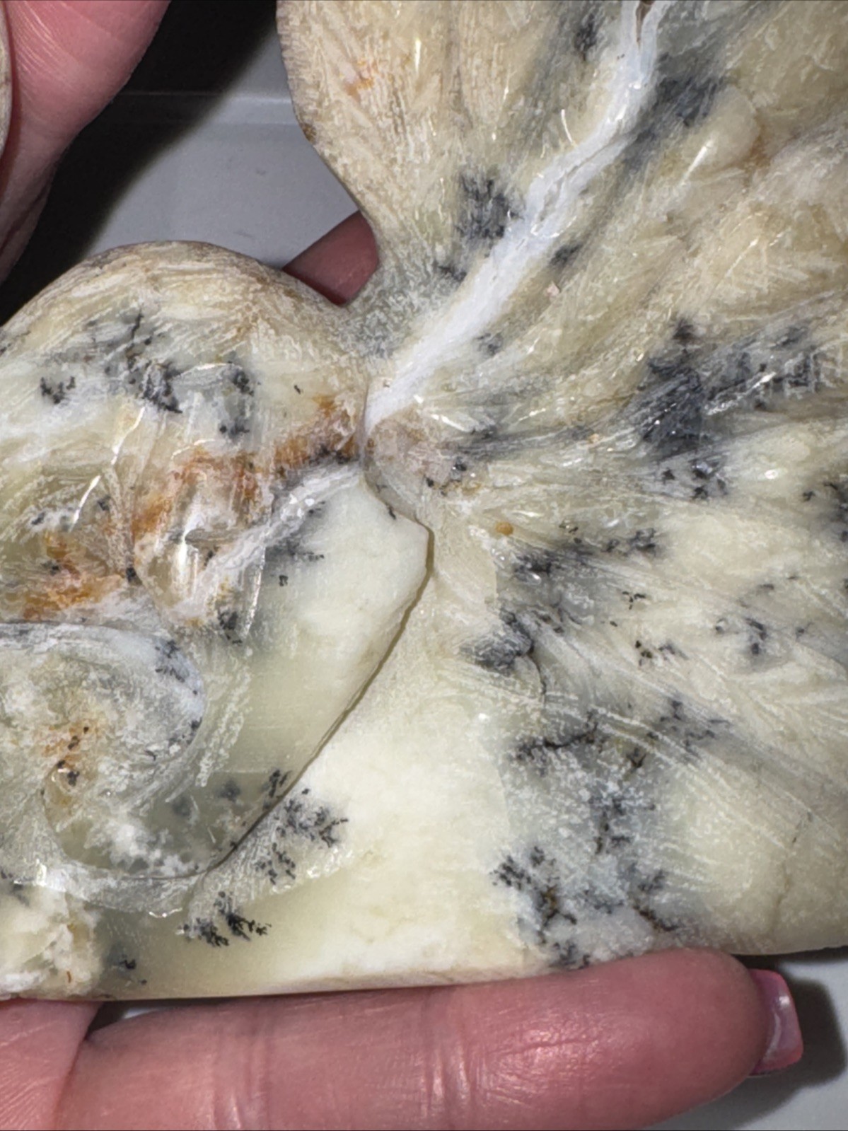 Dendritic Agate Nine Tail Fox. Some Points of The Tail Are Irregular See Photos