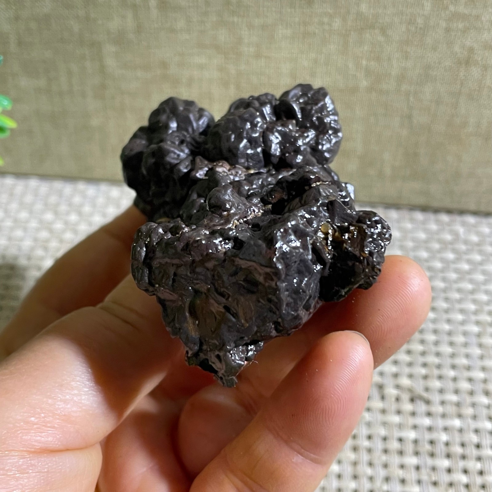 202g Limonite & Hematite pseudomorph after Marcasite Prophecy Rock Stone