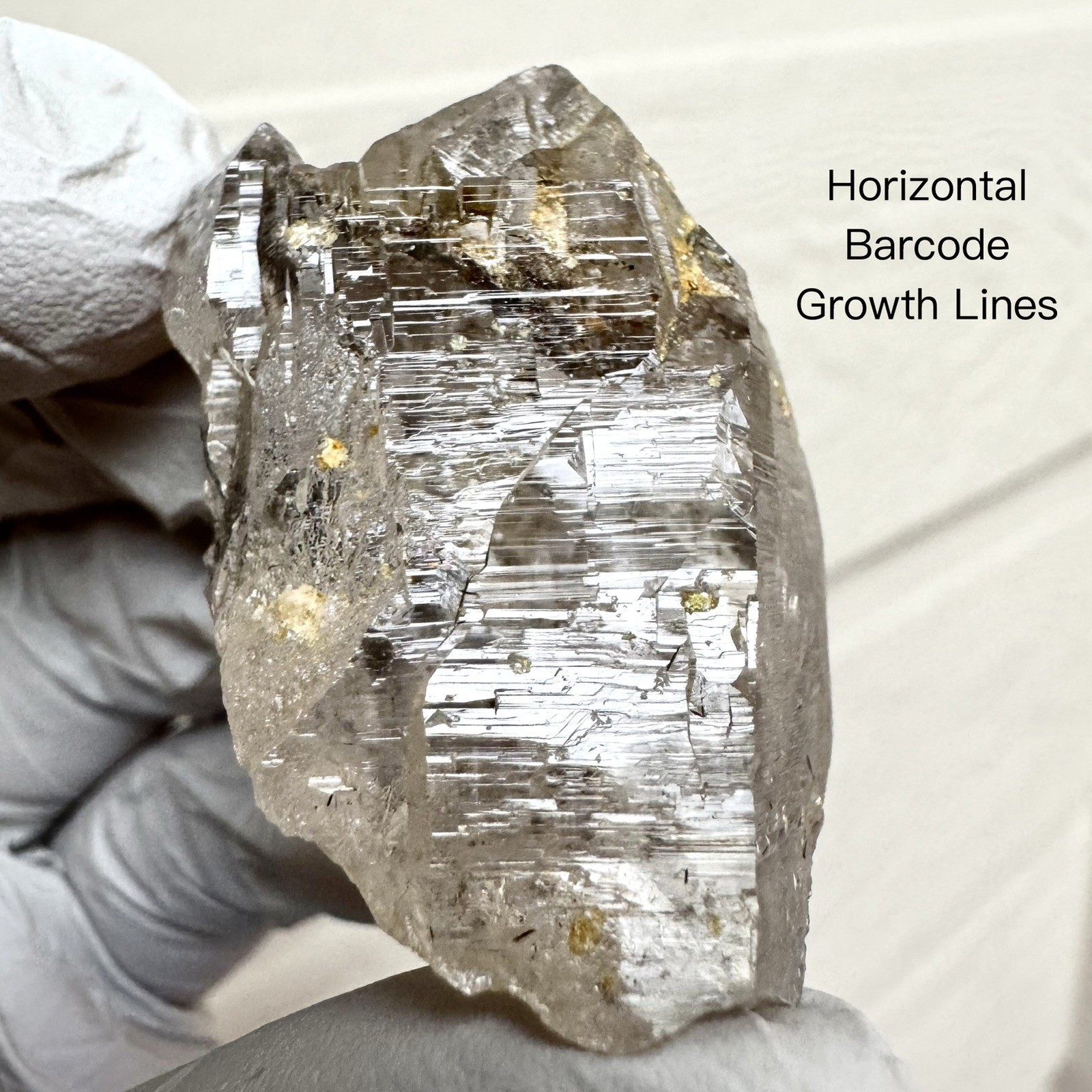“The Gilded Summit” Ganesh Himalayan Quartz Smoky-Grey Basin Termination Crystal