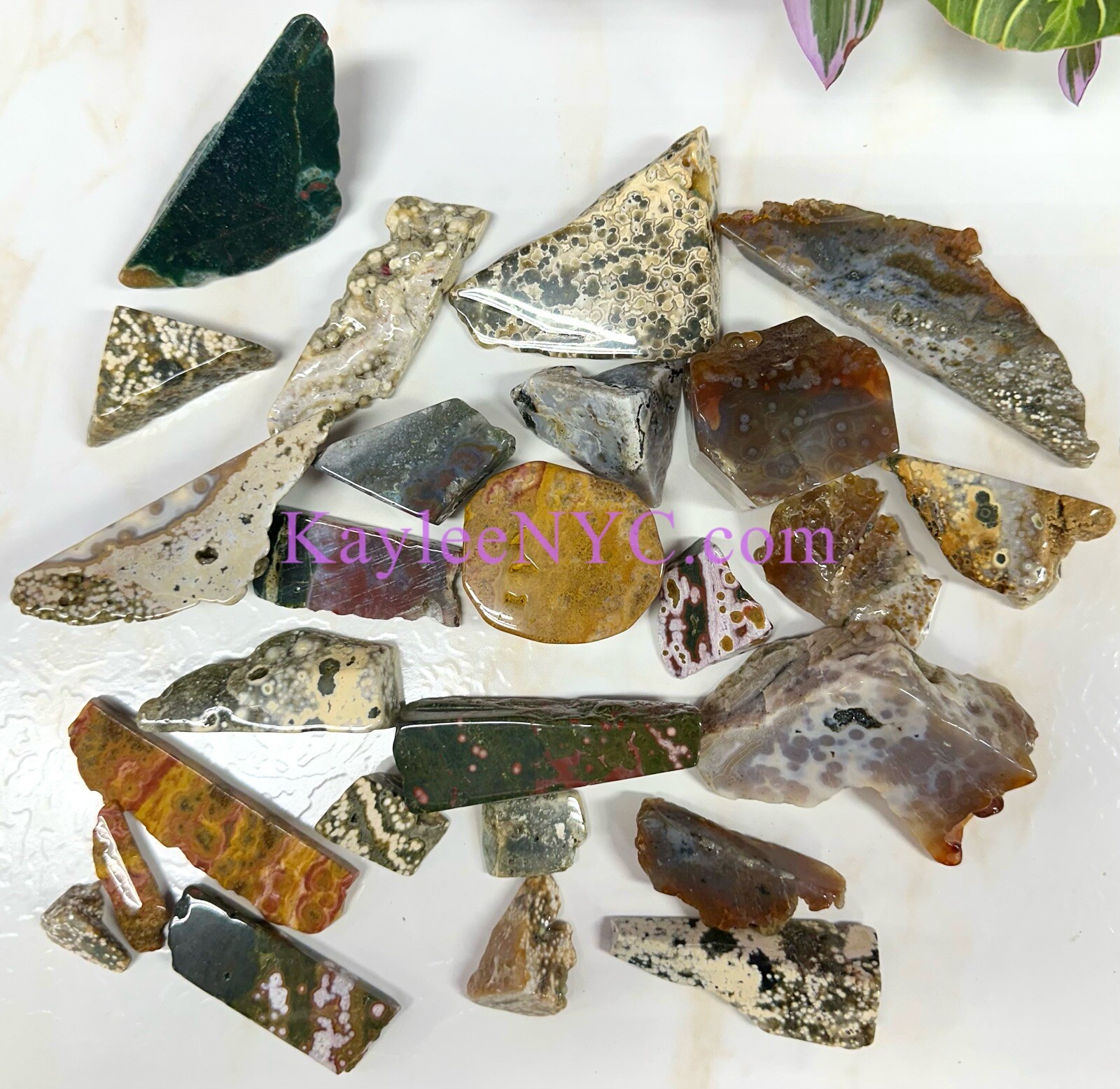 Wholesale Lot 2 Lbs Natural Ocean Jasper Freeform Slab
