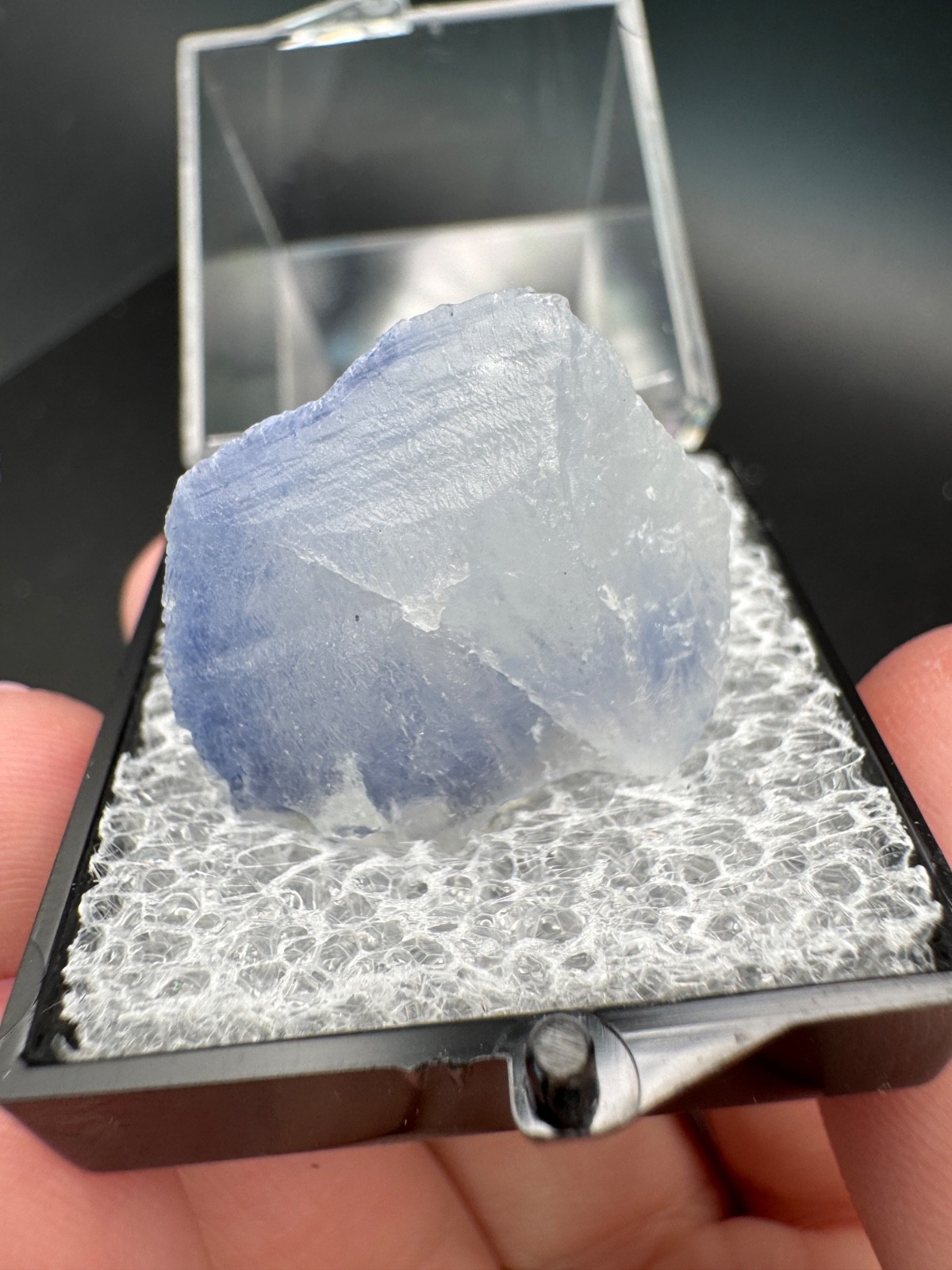 6780 Blue Dumortierite in Quartz in Perky Box Brazil