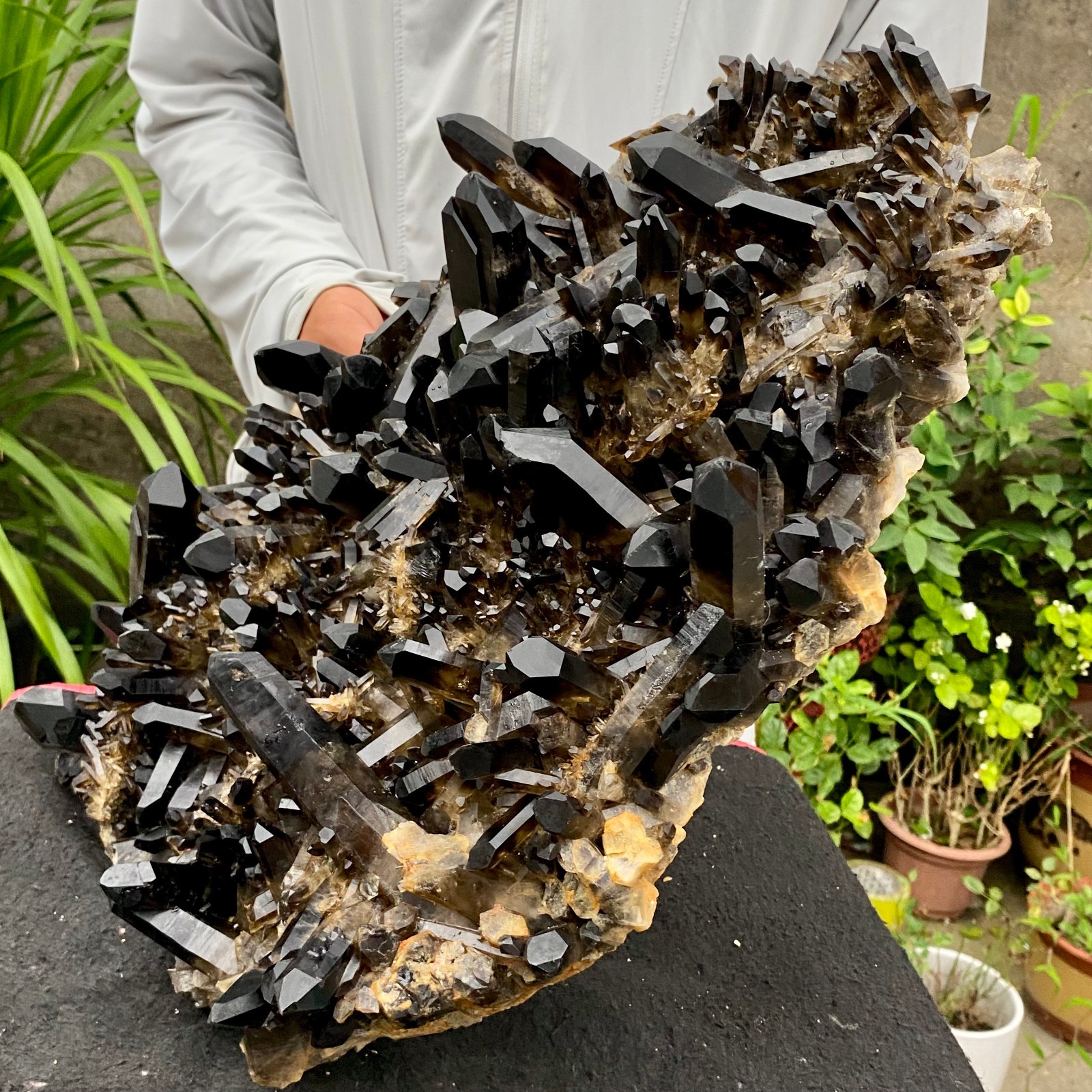 29.32LB Large Natural Smoky Black Quartz Cluster Crystal raw Specimen Healing