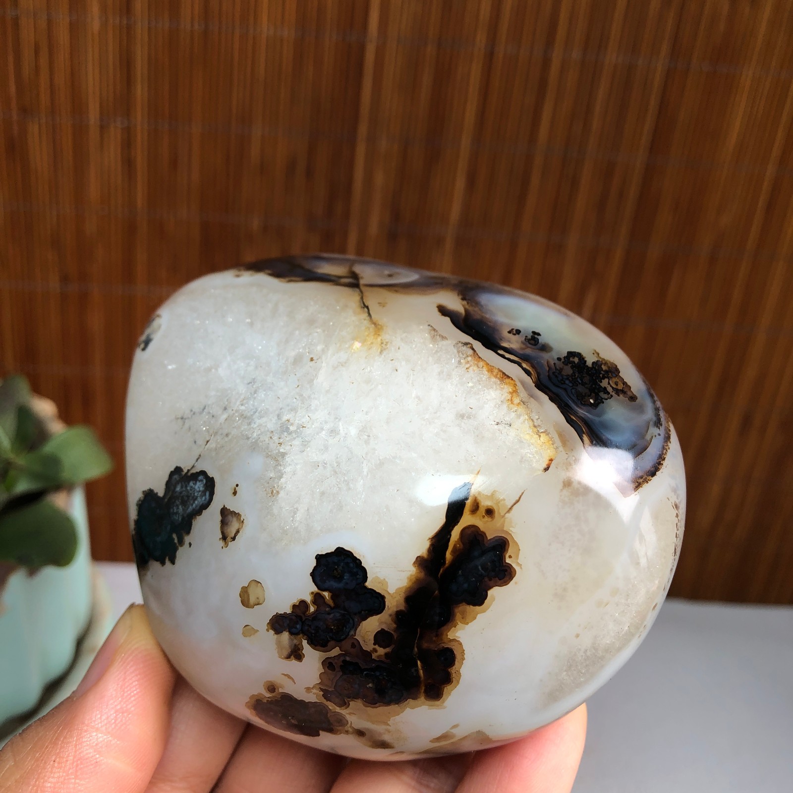 83mm Natural aquatic plants agate pretty Crystal specimens 427g A1482