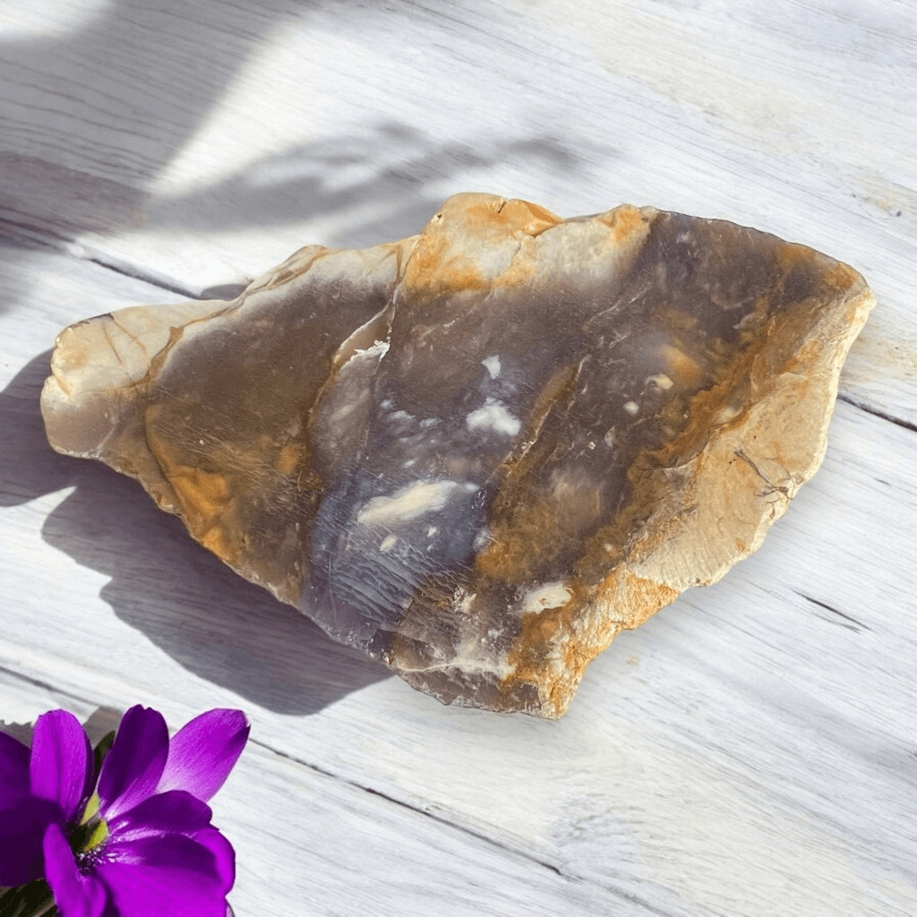 Blue Petrified Wood Freeform Slab