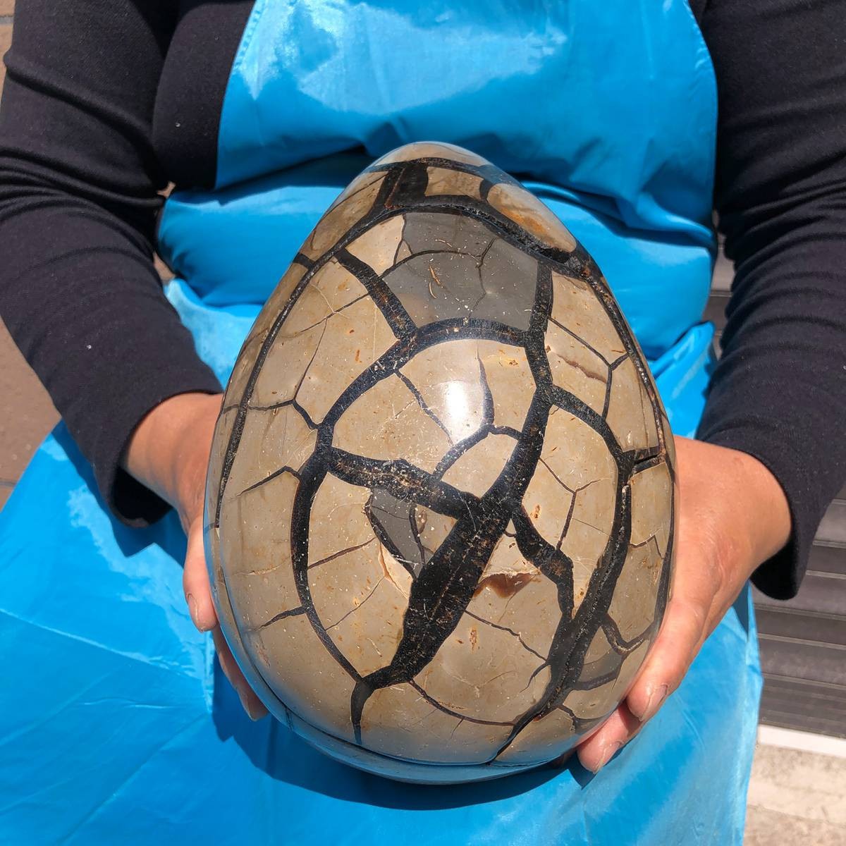 7550G Natural Turtle Back Stone Dragon Crystal Cave Crack Gem Healing 4345