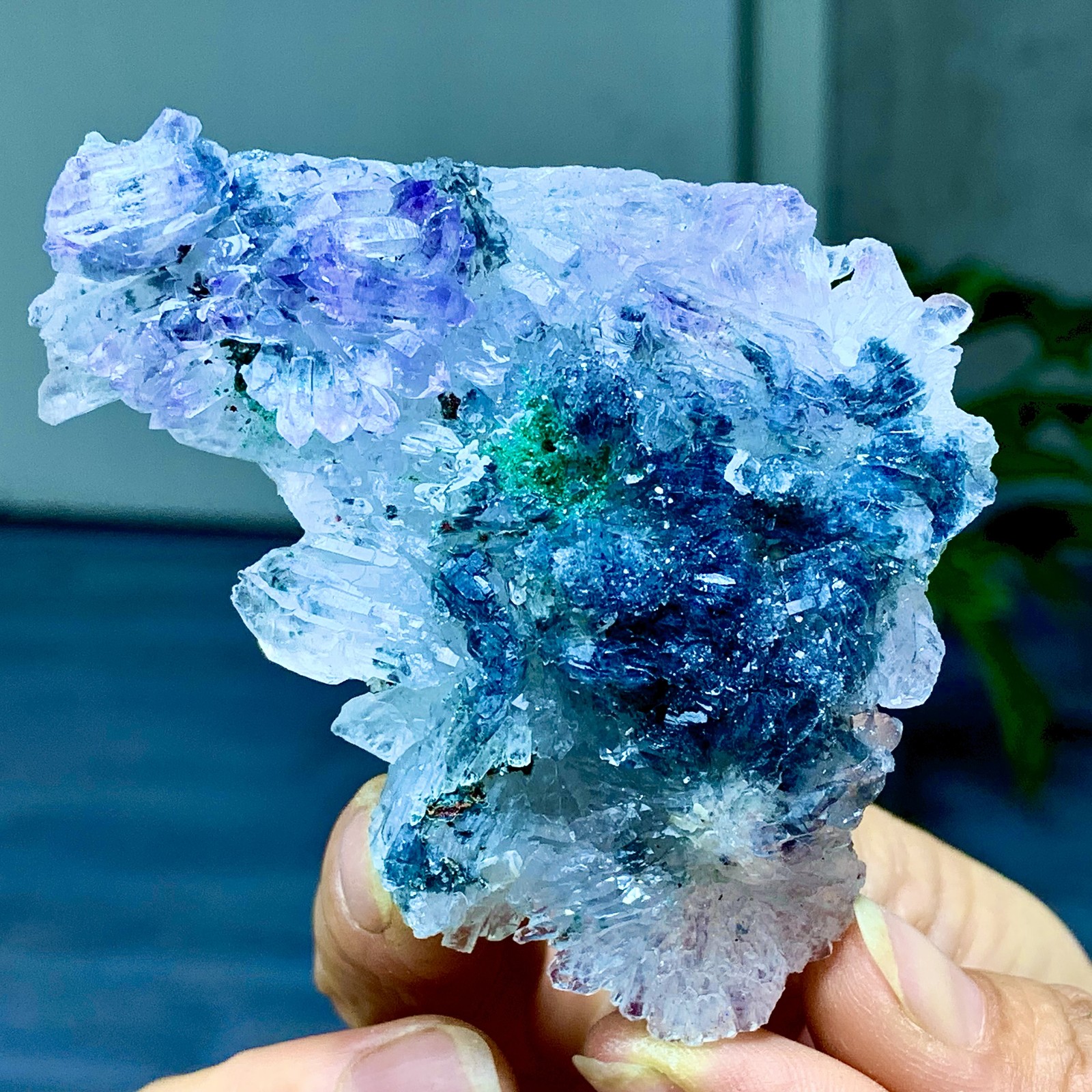 81G Natural Vision Amethyst quartz cluster crystal druzy mineral specimen