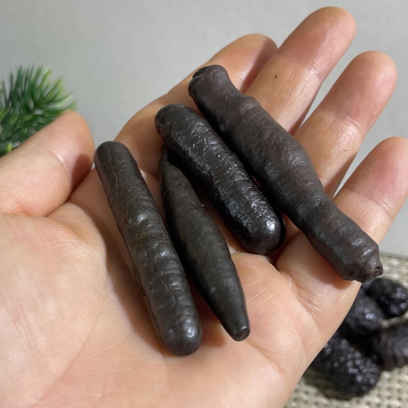 4pcs 74g Limonite & Hematite pseudomorph after Marcasite Prophecy Rock Stone